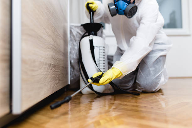 Best Bed Bug Extermination  in Madison, OH
