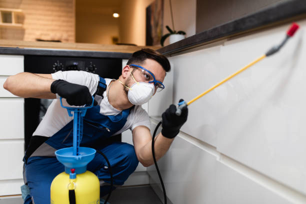 Professional Pest Control in Madison, OH