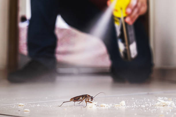 Pest Prevention Services in Madison, OH