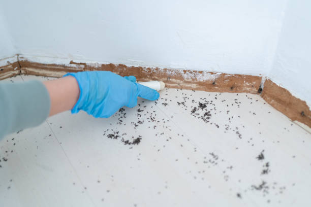 Best Pest Inspection Near Me  in Madison, OH
