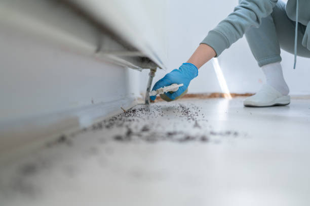 Best Spider Control Near Me  in Madison, OH