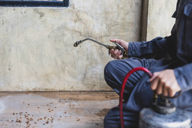 Best Pest Removal Services  in Madison, OH